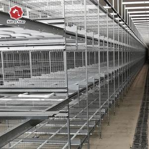 Équipement d'élevage avicole entièrement <span class=keywords><strong>automatique</strong></span> - Cages à poulets de chair en batterie à vendre - Product Image 1