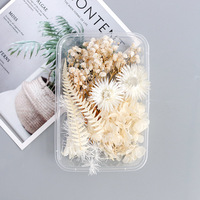 Boîte en plastique Mini Bougie Séchée Conservée Faisant Fleur Petites Fleurs Séchées pour Résine Nouvel An Chinois Sac Carton 100 50g 13*18cm