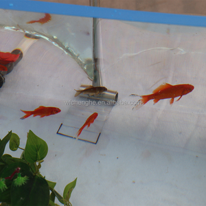 Vente directe d'usine réservoir d'eau pliable Portable réservoir de poissons Transparent pliable <span class=keywords><strong>Koi</strong></span> étang réservoirs moderne étang à poissons - Product Image 4