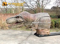 MY DINO AD-257 Décoration de terrain de jeux, T-rex animatronique demi-corps qui sort de la muraille