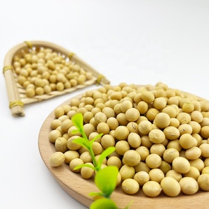 Graines de soja cru de haute qualité en sacs, graines de soja en vrac biologique à vendre - Product Image 6