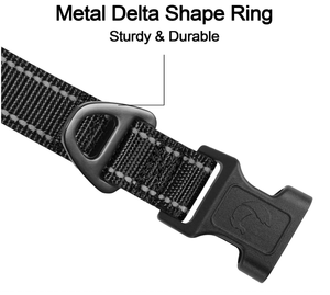 Großhandel Personalisierte Schnallen-Halsbänder aus Neopren für Haustiere, Verstellbare Reflektierende Hundehalsbänder - Product Image 4