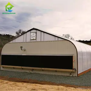 Invernadero agrícola para cultivo de setas y cáñamo, invernadero opaco automático con sistema hidropónico en venta