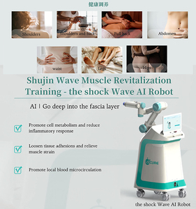 Multifunctional 6 DOF Cobot <strong>Robotic</strong> <strong>Arm</strong> Applied to <strong>Medical</strong> Physiotherapy and Muscle Pain Relief - Product Image 4
