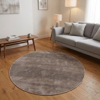 Machine Made Modern Style Large Area Rug for Home Use in Living Room Entryway Kitchen Washable Polyester Living Room Carpet