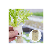 Blocs de laine de roche hydroponiques pour la culture et la propagation des plantes agricoles, pour usage en jardin, 2,7*2,7*2 cm