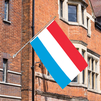 Style de fanion de drapeau luxembourgeois simple face personnalisable de 3x5ft pour les bannières nationales et les drapeaux d'affichage imprimés sur commande