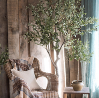 Arbre d'olivier en fibre de verre écologique personnalisé avec verdure résistant aux UV pour la décoration intérieure de centres commerciaux et de restaurants, longue durée