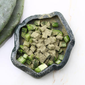 Bols et assiettes d'alimentation pour reptiles Tortue, lézard, gecko, serpent et grenouille - Product Image 3