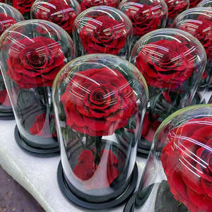 Bestseller Eeuwige Roos Bloemen Valentijnsdag Eeuwig Bewaard Gebleven Bloem Voor Altijd Rozen In Glazen Koepel Led - Product Image 1