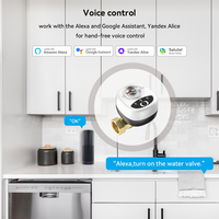 Válvula de Agua Inteligente WiFi Inalámbrica Controlada por Aplicación DN15/DN20/DN25, Resistente al Agua IP65, Control por Voz, Compatible con Exteriores y Garajes