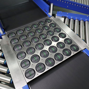 <span class=keywords><strong>Express</strong></span>/mail/hộp/bưu kiện/gói tự động SORTER/DWS phân loại băng tải/singulating giải pháp hệ thống cho nhà máy - Product Image 5