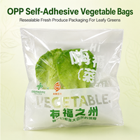 Sacs en cellophane transparents de qualité alimentaire OPP avec logo personnalisé imprimé en gravure, fabriqués par le fabricant