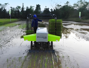 Máy cấy lúa 2zgq-825 máy trồng lúa 4 hàng 6 hàng cấy lúa thủ công - Product Image 2