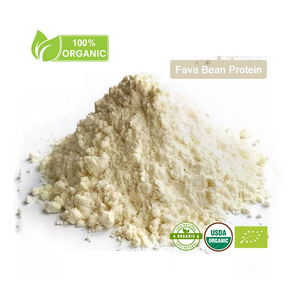 Ekstrak Kacang <span class=keywords><strong>Fava</strong></span> Alami dari Produsen, Bubuk Protein Kacang <span class=keywords><strong>Fava</strong></span> Organik EU/USDA (Kering) untuk Suplemen Nutrisi Olahraga - Product Image 1