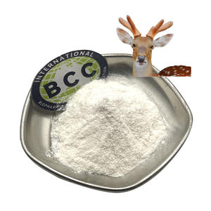 Extrait de bois de <span class=keywords><strong>cerf</strong></span> BCC poudre de peptide de bois de <span class=keywords><strong>cerf</strong></span> poudre d'oligopeptides de bois de <span class=keywords><strong>cerf</strong></span> - Product Image 1