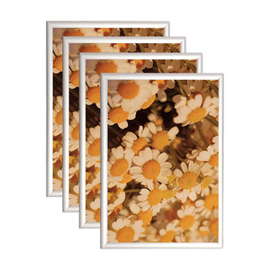 Groene Snap <span class=keywords><strong>Frame</strong></span> Outdoor <span class=keywords><strong>Display</strong></span> Waterdicht <span class=keywords><strong>Frame</strong></span> Met Transparante Film Snap <span class=keywords><strong>Frame</strong></span> A1 A2 A3 <span class=keywords><strong>A4</strong></span> - Product Image 1