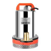 Pompe à Eau Solaire Électrique DC 12V 24V à Basse Pression Submersible pour Engrenage d'Irrigation Agricole et de Jardin OEM