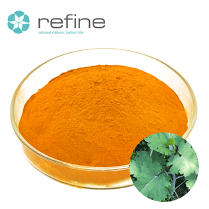 Fournisseur de Cordata Alkaloids 60% - Extrait de <span class=keywords><strong>Macleaya</strong></span> Cordata en poudre de haute qualité - Product Image 2