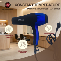 Sèche-cheveux ionique à séchage rapide et à température constante HQ-8820, sèche-cheveux haute puissance