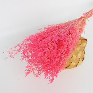 ดอกไม้แห้งขายส่ง หญ้าวาเลนไทน์ฟอกขาวธรรมชาติ ลิโมเนียมสีขาวคงสภาพ - Product Image 5