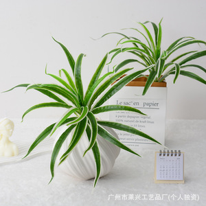 Laixing <b>Artificial</b> <b>Spider</b> <b>Plant</b> 35Cm White Edged Soft Pvc High Simulation Home Decoration - Product Image 2