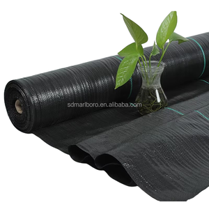 Anti-mauvaise herbe maille fraise plantes tapis de mauvaises herbes jardinage tissu lutte contre les mauvaises herbes pour Offre Spéciale - Product Image 1