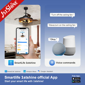 1stshine Ventilateur de Plafond Invisible Éclairage Décoratif PC Lame Moteur DC Ventilateur de Plafond Invisible avec Lumière - Product Image 6