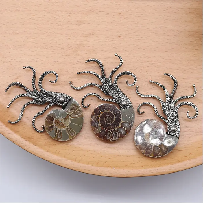 بسعر الجملة دبوس موضة مصمم مجوهرات الطبيعية صدف أخطبوط الأحفور هدية للنساء والرجال