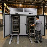 Chariot industriel pour machine de congélation rapide à Guangzhou, congélateur rapide pour 30-40 plateaux, armoire de congélation rapide, congélateur tunnel IQF, provenance Chine