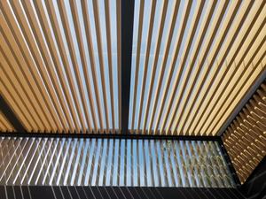 WPC <span class=keywords><strong>terrasse</strong></span> extérieure pergola balcon patio <span class=keywords><strong>terrasse</strong></span> décorative étanche bois <span class=keywords><strong>plastique</strong></span> composite 100*30mm <span class=keywords><strong>lame</strong></span> pour villa - Product Image 6