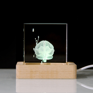 Mô hình giải phẫu não người <span class=keywords><strong>3D</strong></span> Quà Tặng y tế khối pha lê khắc khối thủy tinh não bác sĩ Công ty Dược phẩm quà tặng - Product Image 6