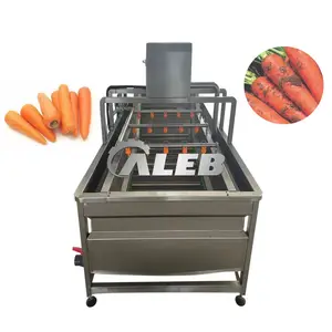 Automatic Fresh Fruit Vegetable Washer Machine/Root Vegetables Bubble cleaner with ozone for washing line