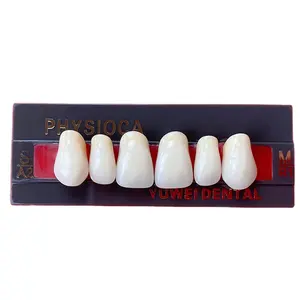 Dental False Teeth/synthetic Resin Teeth/dental Polymer Tooth With Iso Ce