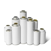 Vente en gros de boîtes aérosols métalliques vides de 65 mm, finition brillante ou mate, forme cylindrique pour peinture en aérosol, D65*H158mm, emballage en étain