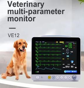 จอภาพสัตวแพทย์แบบพกพาขนาด12.1นิ้วเครื่องตรวจจับคลื่นไฟฟ้า ECG แบบ2ชั่วโมง3ระดับเครื่องมือตรวจสอบสัตวแพทย์ - Product Image 3