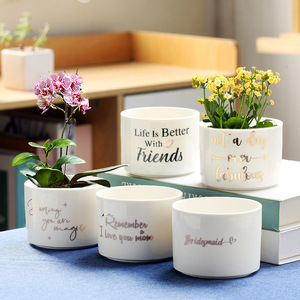 Pot de fleurs rond en céramique blanche pour plantes succulentes avec plateau en bambou et trou de drainage pour cactus - Product Image 5