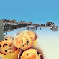 Nouvelle ligne de production entièrement automatique de biscuits, four électrique à économie d'énergie, machine à fabriquer des biscuits à base de farine et de lait pour boulangerie