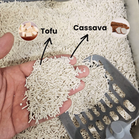 Litière pour chat végétale en mélange de cassave et de tofu, agglomération rapide, charbon actif, faible poussière, jetable dans les toilettes, biodégradable