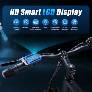 Vélo électrique TWOFISH TF-1 avec freins à disque, stock UK, 250W, 36V, 15Ah, 26 pouces, 25 km/h, autonomie maximale de 100 km - Product Image 4