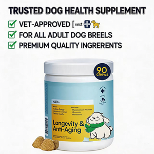 Friandises personnalisées <span class=keywords><strong>pour</strong></span> la longévité des chiens - Complément <span class=keywords><strong>anti</strong></span>-âge <span class=keywords><strong>pour</strong></span> la santé des animaux de compagnie avec NMN et resvératrol, supplément vitaminique <span class=keywords><strong>pour</strong></span> chats OEM - Product Image 6