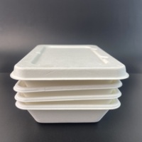 Boîte carrée personnalisable LuzhouPack 500 ml avec couvercle, compostable, en pulpe de canne à sucre, biodégradable, écologique, jetable, hydrofuge