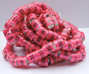 Hoge Kwaliteit Race Band Duif Ring Maken Machine Plastic Vs Aluminium Hub Ringen & Tubing Mesh Box Voor Vogel Verzorgingsproducten Voor Huisdieren - Product Image 6