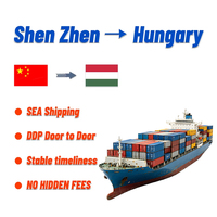 Transitaire Chine-Hongrie LCL+Express Fret Maritime Adscargo DDP Porte-à-Porte Agent Maritime 24/7 Logistique Marchandises Dangereuses