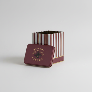 Caja de Almacenamiento Rectangular de Metal Kontensan ER2051F 80x120x120 mm, Estilo Vintage Circo Elegante, con Tapa Deslizante, Capacidad de 1L - Product Image 2