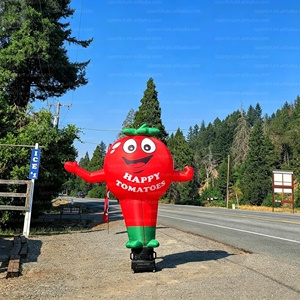 <span class=keywords><strong>Tomate</strong></span> géante gonflable lumineuse à LED <span class=keywords><strong>de</strong></span> 3 m, modèle <span class=keywords><strong>de</strong></span> mascotte <span class=keywords><strong>de</strong></span> <span class=keywords><strong>tomate</strong></span> <span class=keywords><strong>de</strong></span> dessin animé avec logo personnalisé pour la publicité extérieure/promotion <span class=keywords><strong>de</strong></span> marque - Product Image 2