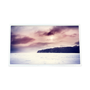 Pantalla LCD TFT Nueva con Descuento C101UAT03.0 de 10.1 Pulgadas 1920*1200 - Product Image 1