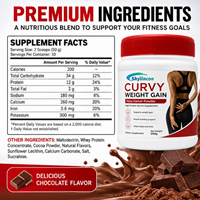 Poudre de prise de masse OEM/ODM en gros pour courbes généreuses, saveur chocolat 500g, riche en protéines pour le développement musculaire et le remodelage corporel