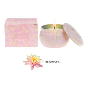 Juego <span class=keywords><strong>de</strong></span> regalo <span class=keywords><strong>de</strong></span> decoración del hogar <span class=keywords><strong>de</strong></span> cera <span class=keywords><strong>de</strong></span> soja iridiscente del mercado <span class=keywords><strong>de</strong></span> EE. UU. Vela perfumada <span class=keywords><strong>de</strong></span> pilar <span class=keywords><strong>de</strong></span> estaño perfumado barato - Product Image 3