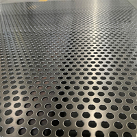 Service de découpe de métal perforé en acier inoxydable / Métal perforé rond avec revêtement PVC pour protection